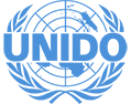 unudi